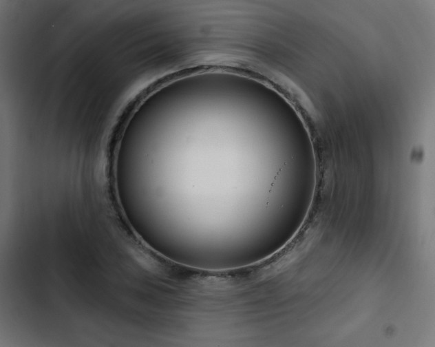 X0000103491027200809121710