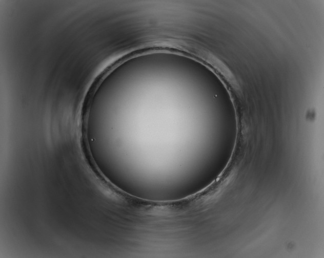 X0000103491028200809121710