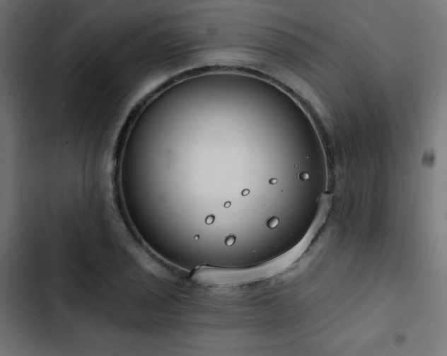 X0000103491029200809121710