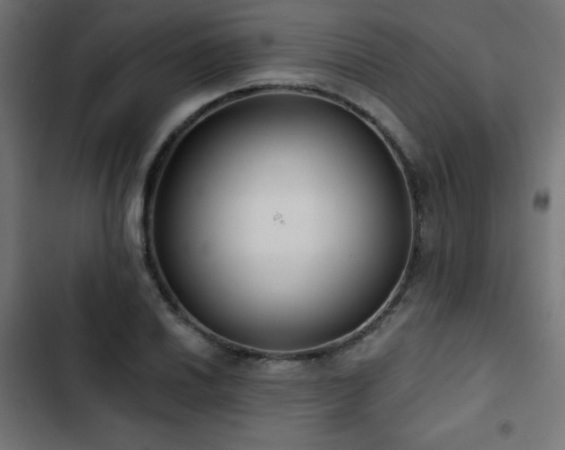 X0000103491030200809121710