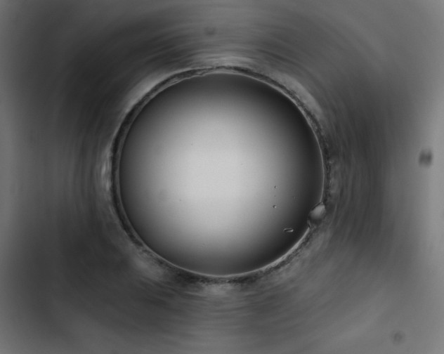 X0000103491031200809121710