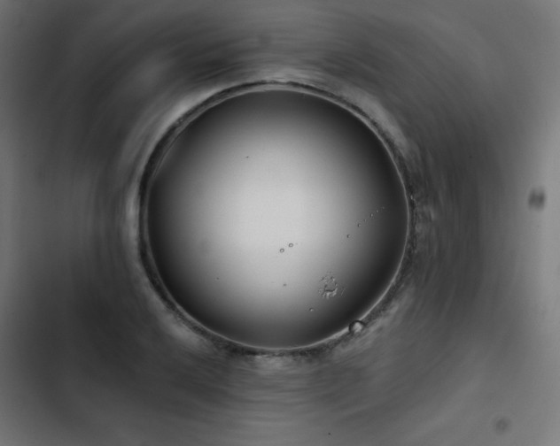 X0000103491032200809121710