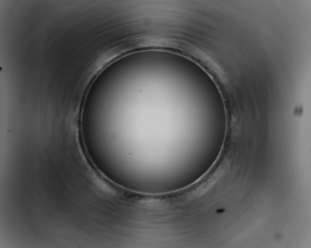 X0000103491033200809121710