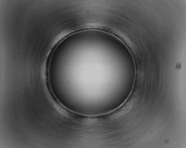 X0000103491034200809121710