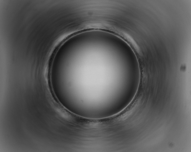 X0000103491035200809121710