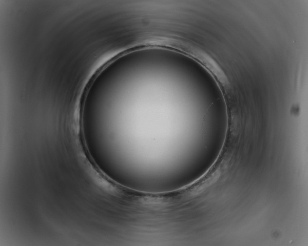 X0000103491036200809121710