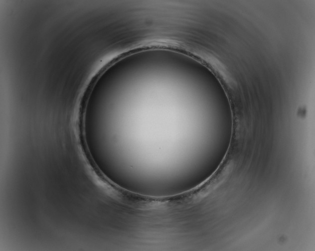 X0000103491038200809121710