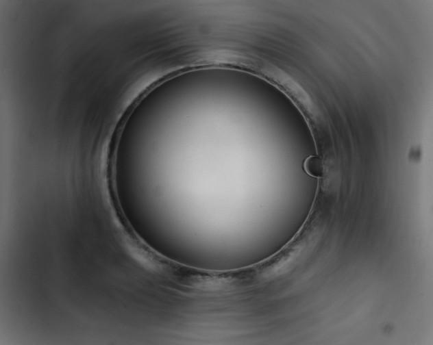 X0000103491039200809121710