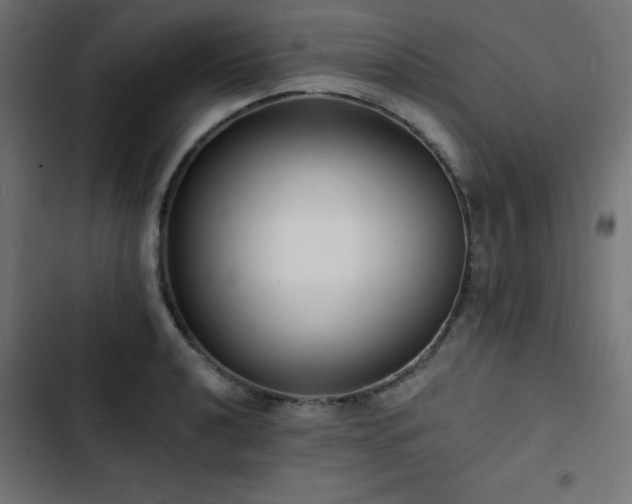 X0000103491040200809121710