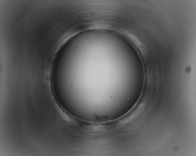 X0000103491041200809121710