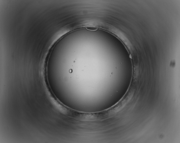 X0000103491042200809121710