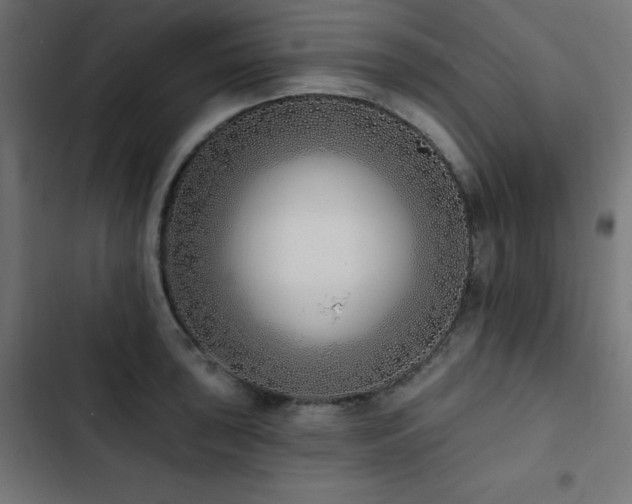 X0000103491043200809121710