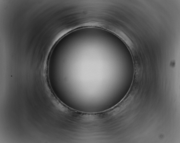 X0000103491044200809121710