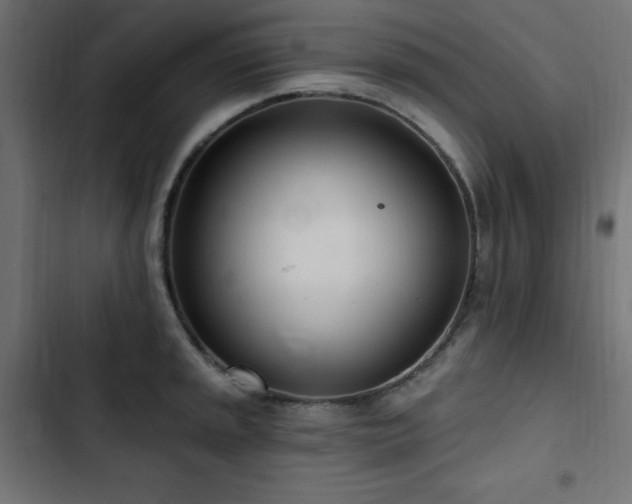 X0000103491045200809121710