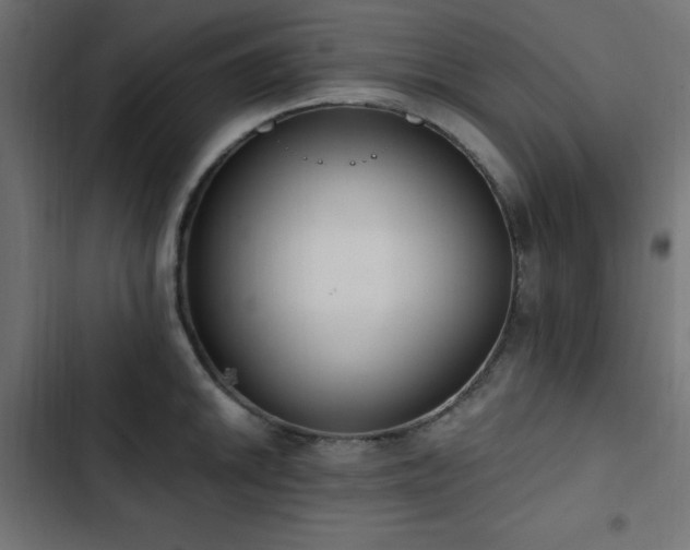 X0000103491046200809121710