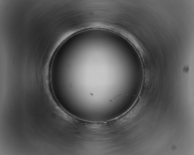 X0000103491048200809121710