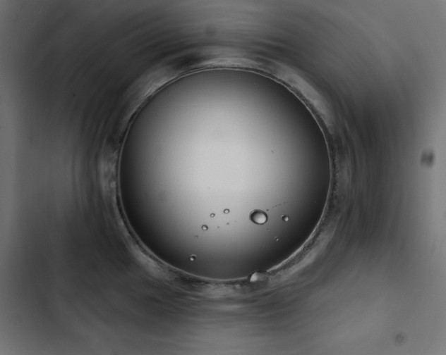 X0000103491049200809121710