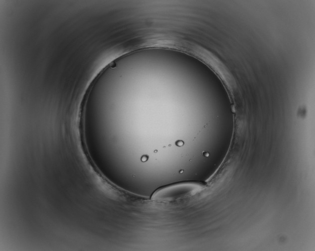 X0000103491050200809121710