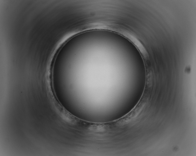 X0000103491051200809121710