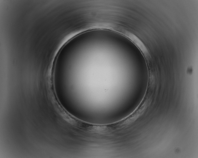 X0000103491052200809121710