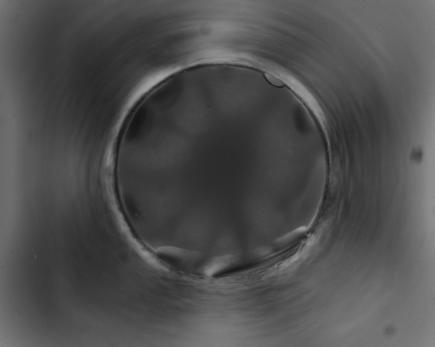 X0000103491053200809121710