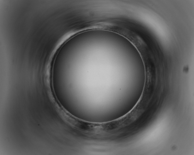 X0000103491054200809121710