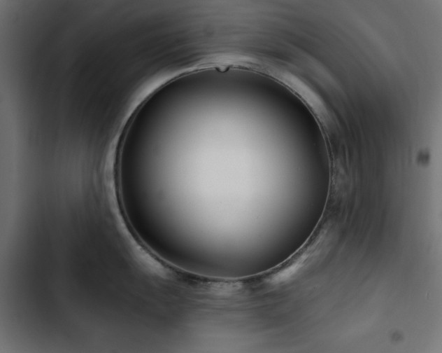 X0000103491055200809121710