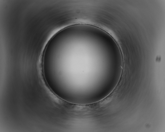 X0000103491056200809121710