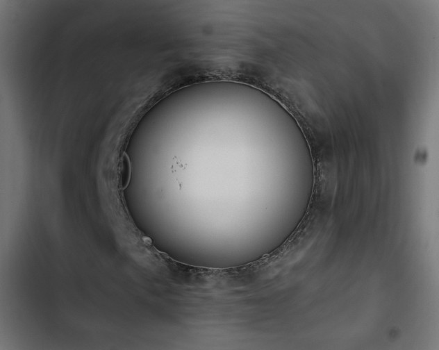 X0000103491057200809121709