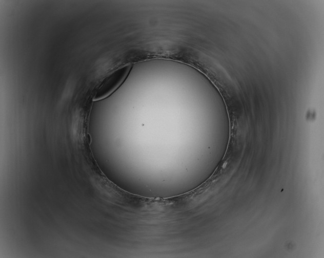 X0000103491058200809121709