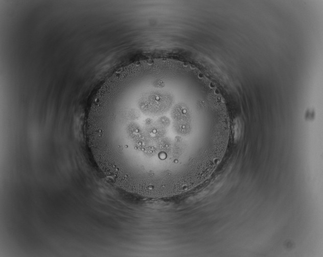 X0000103491059200809121709