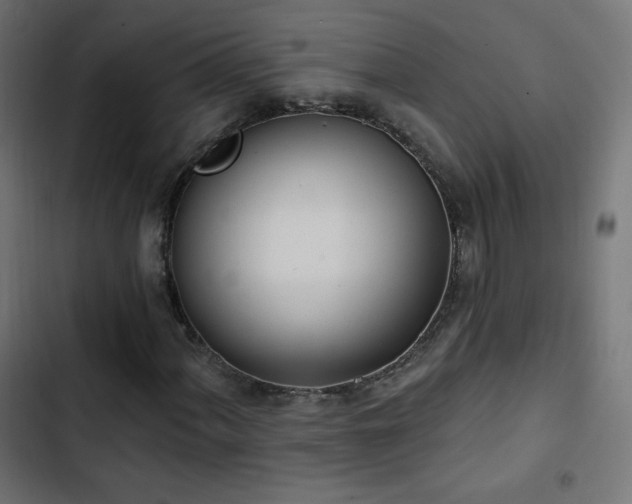 X0000103491060200809121709