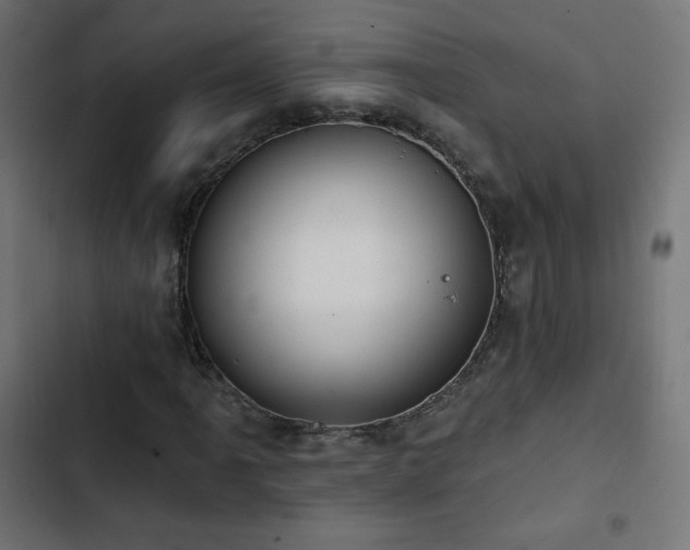 X0000103491061200809121709