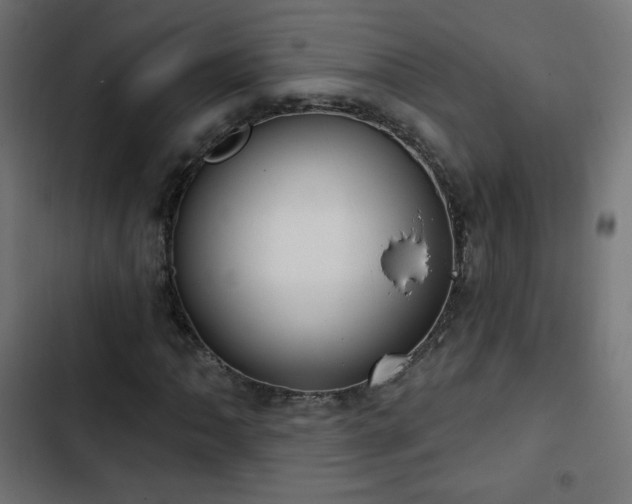 X0000103491062200809121709