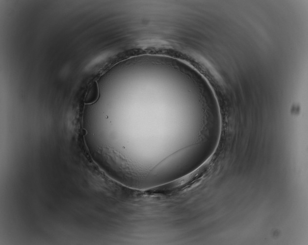 X0000103491063200809121709