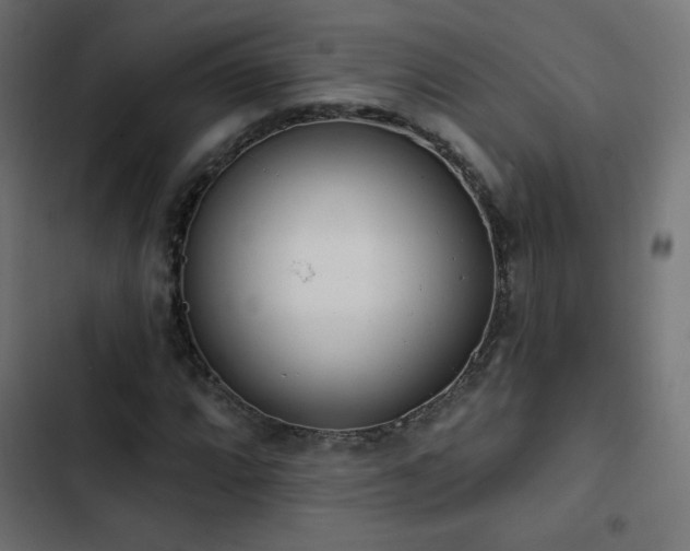 X0000103491064200809121709