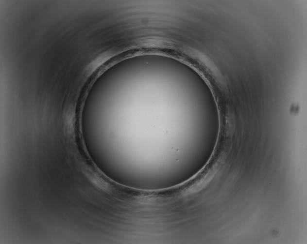 X0000103491065200809121709