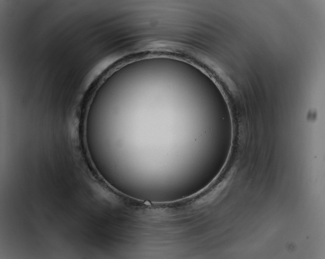 X0000103491066200809121709