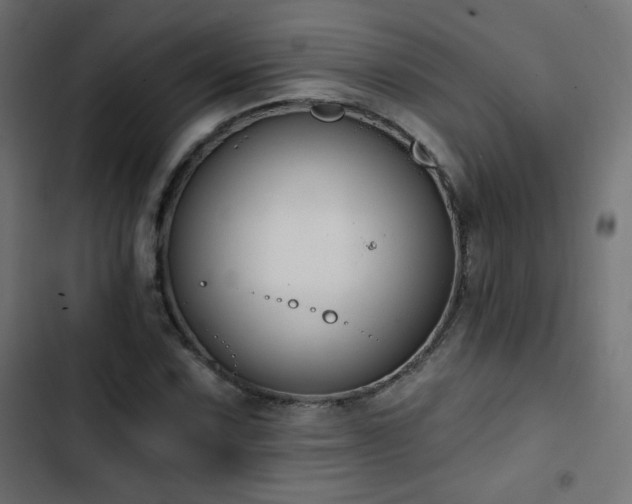 X0000103491067200809121709