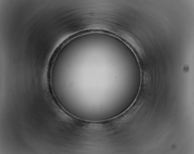 X0000103491068200809121709