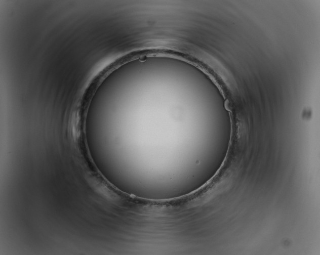 X0000103491069200809121709