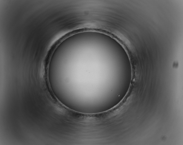 X0000103491070200809121709