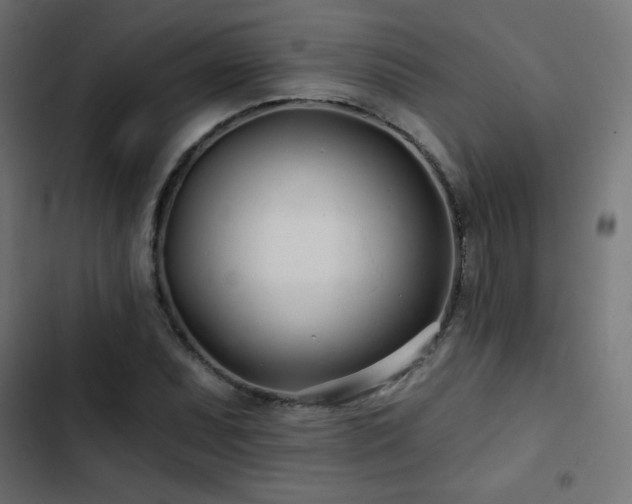 X0000103491071200809121709