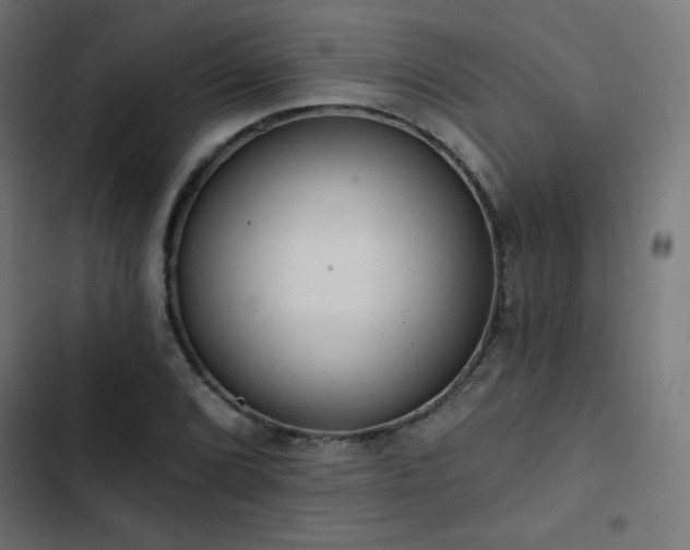 X0000103491072200809121709