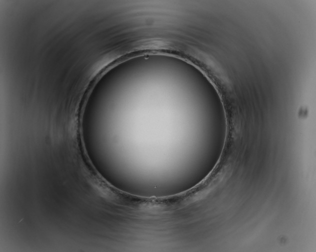 X0000103491073200809121709