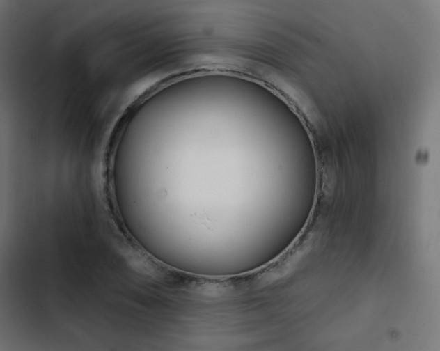 X0000103491074200809121709