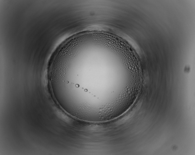 X0000103491075200809121709