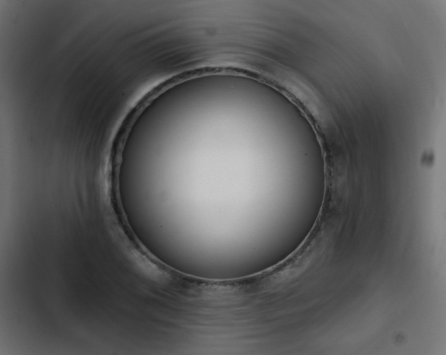 X0000103491076200809121709