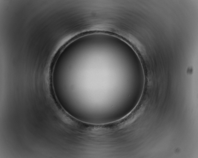 X0000103491077200809121709