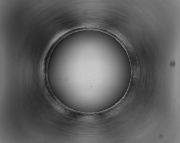 X0000103491078200809121709